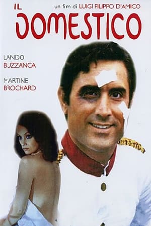 Il domestico